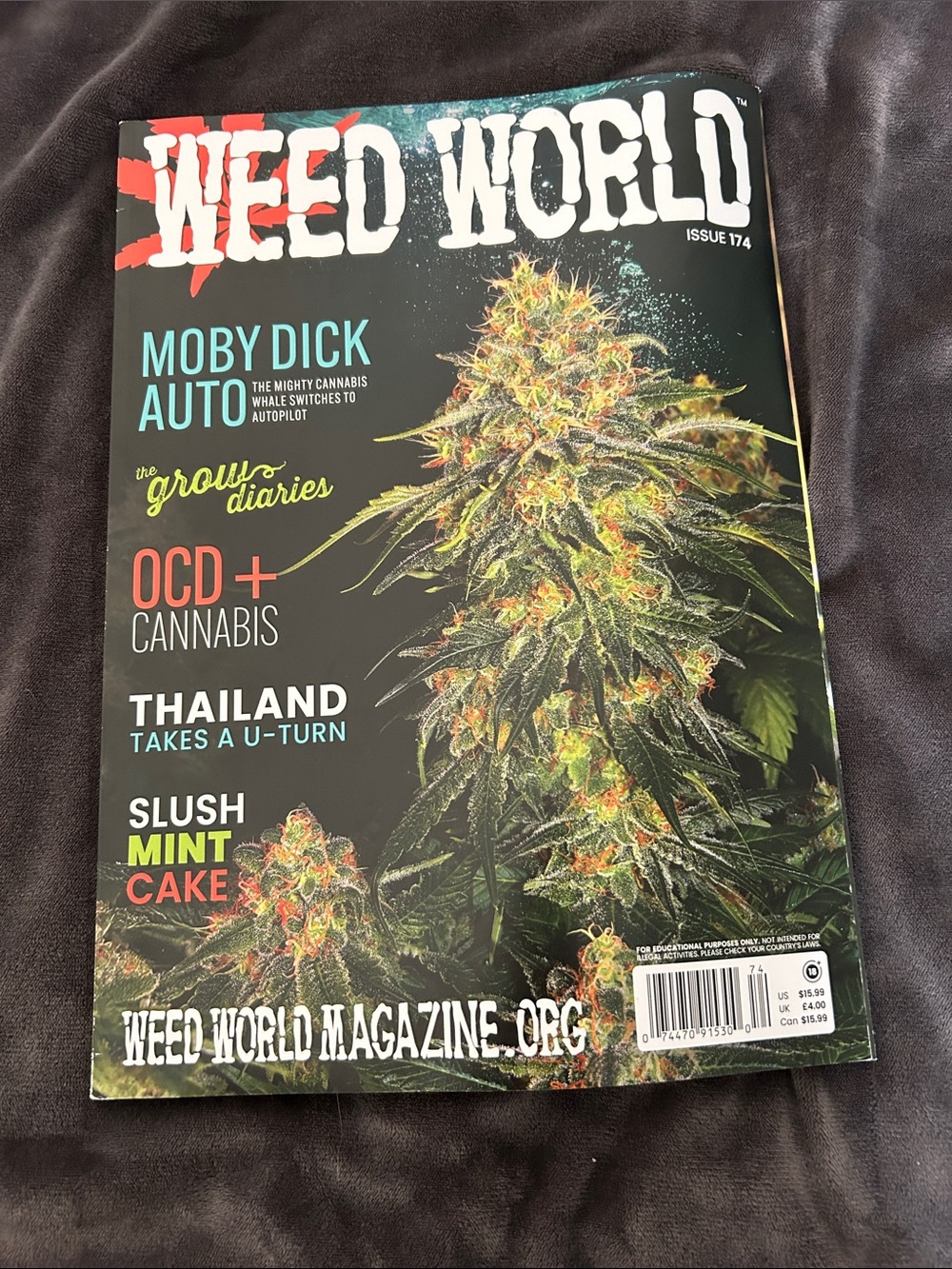 WW Issue 174